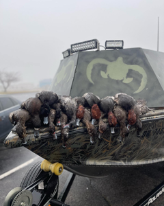 Lake Erie's Duck Hunt